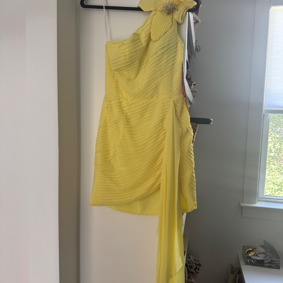 Patio Flower Appliqué Mini Dress in Limoncello - Picture 3 of 3